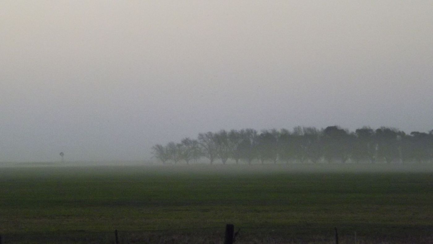 Neblina pampa al sur de Venado Tuerto