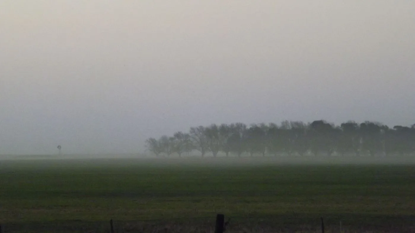 Parroquia Inmaculada Concepción - Catedral de Venado Tuerto