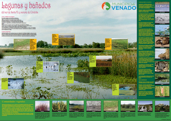 Infografía sobre las lagunas del sur de Santa Fe y sureste de Córdoba